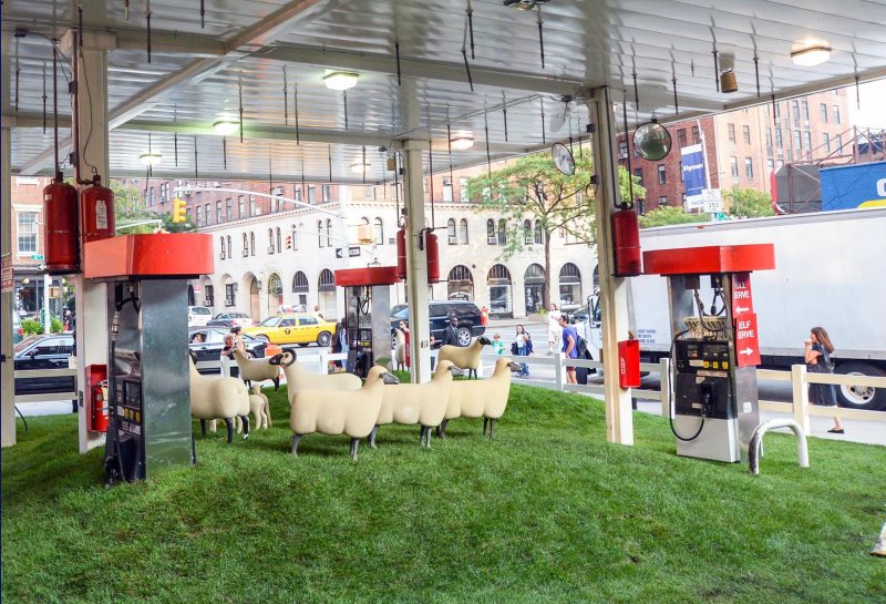 sheaps_peopleBack_7121_8318881